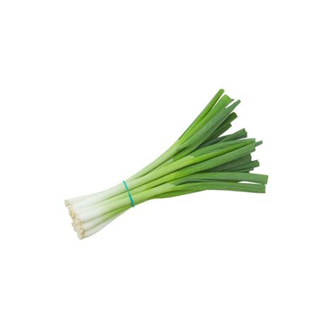 Čerstvá cibuľa a bylinky