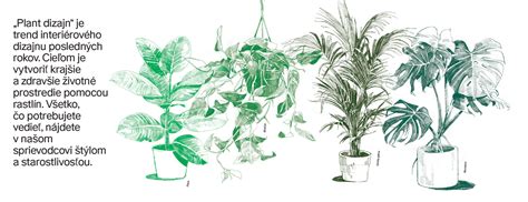 Ilustrácia rôznych spôsobov prípravy makrely