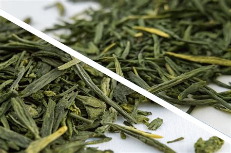 Rôzne druhy zeleného čaju (Matcha, Sencha, Gyokuro)