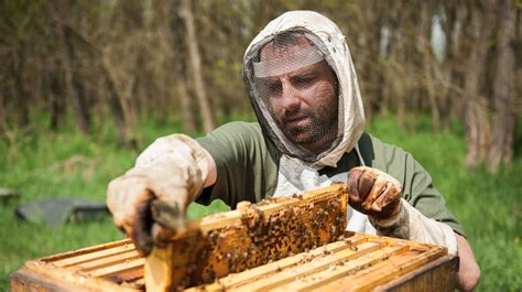Včelár pri práci