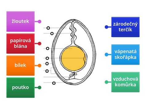 Nákres postupu obaľovania syra v trojobale
