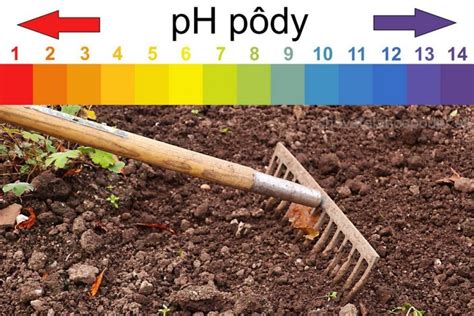 Infografika: Zmeny pH pôdy