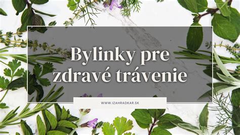 Prehľad najúčinnejších byliniek na trávenie