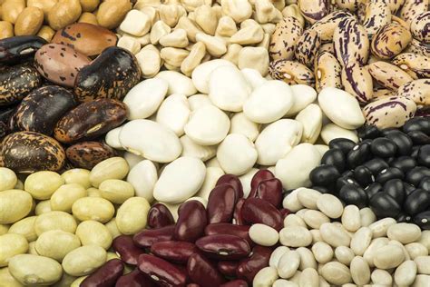 Mexické čierne fazule