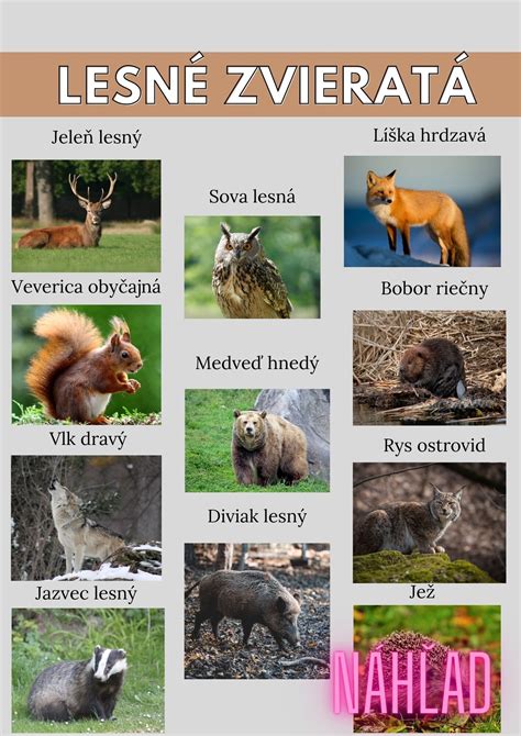 Zvieratá konzumujúce semená šišiek