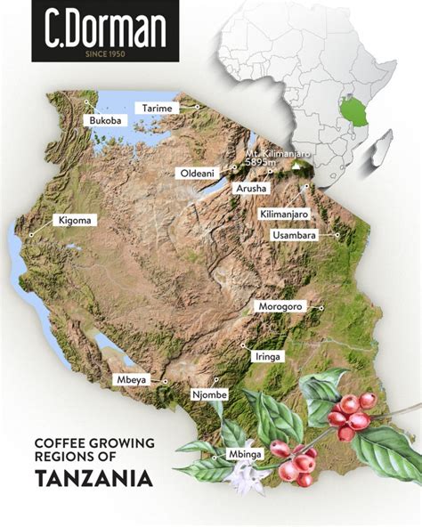 Mapa pestovateľských oblastí kávy