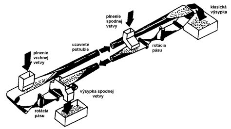 Schematické znázornenie pôsobenia sulforafanu a indol-3-karbinolu v tele