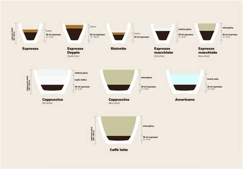 Infografika: Typy káv a ich vplyv na trávenie
