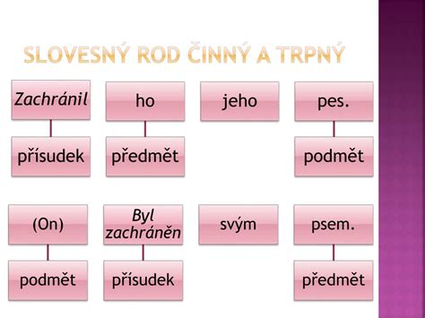 Schéma: Slovesný rod - aktívum a pasívum