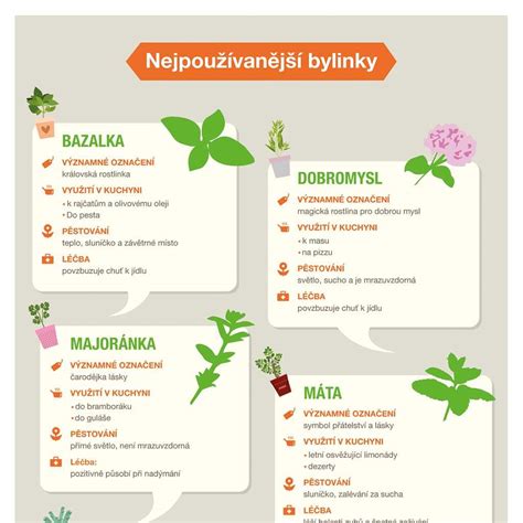 Infografika: Bylinky podporujúce laktáciu