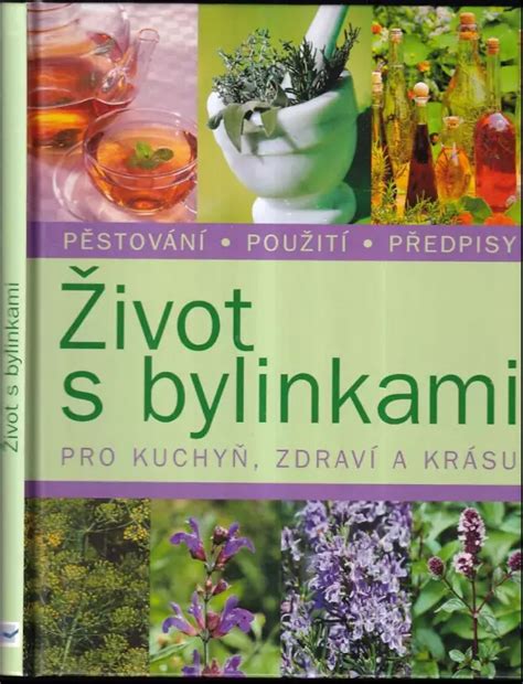 Stredoveký lekár s bylinkami