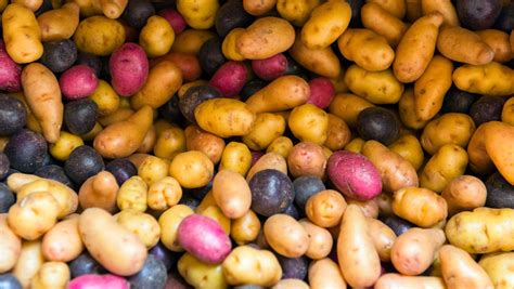 Prehľad ingrediencií pre rôzne varianty plnených zemiakov