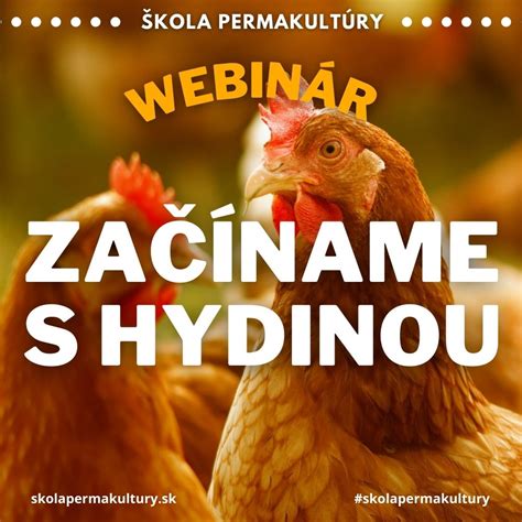 farma s hydinou a slepačími vajcami