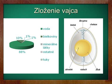 Zloženie vaječnej škrupiny