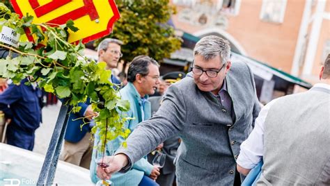 Schéma balenia plnených vínnych listov