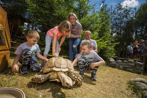 Zoo Kontakt s tigrom