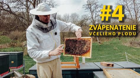 Infografika: Zloženie včelieho peľu