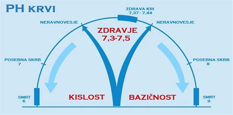 Graf porovnávajúci pH krvi a moču