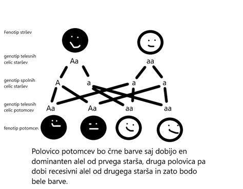 Schéma dedičnosti hemochromatózy