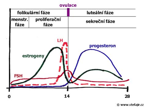 Graf hladín železa v krvi pri hemochromatóze