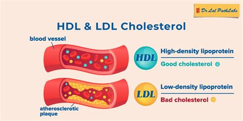 Graf: Porovnanie HDL a LDL cholesterolu vo vajciach