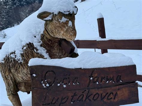 Tradičná slovenská ovčia farma s ukážkou výroby syra