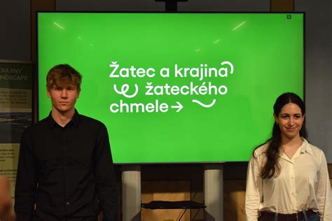 Vizuál cícerových fašírok