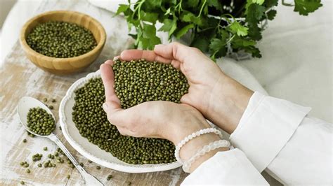 Vajíčka - nutričný poklad
