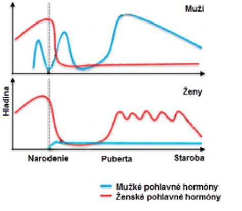 Grafické znázornenie hormonálnych výkyvov u žien počas rôznych životných fáz