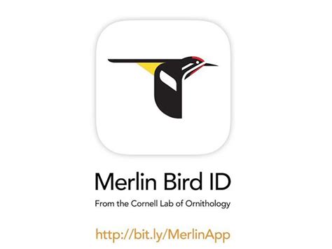Rozhranie aplikácie Merlin Bird ID