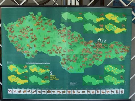 Mapa rozšírenia vtáčích druhov v aplikácii BirdPro