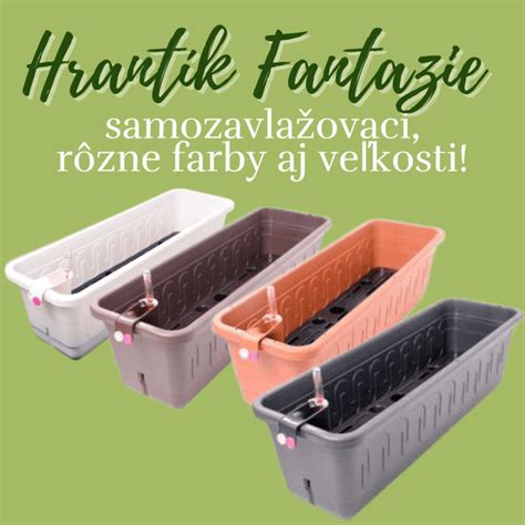 Rôzne veľkosti patizónov na trhu