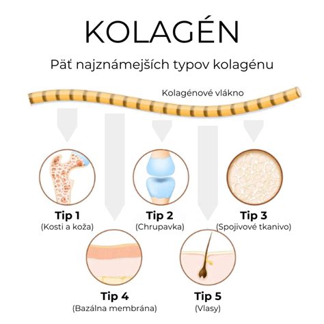 Kolagén a jeho úloha v pružnosti pleti