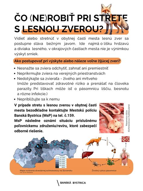 Schéma znázorňujúca rôzne časti zveri a odporúčané spôsoby prípravy