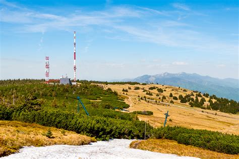 Ilustrácia suchej hniloby na zemiakových hľuzách