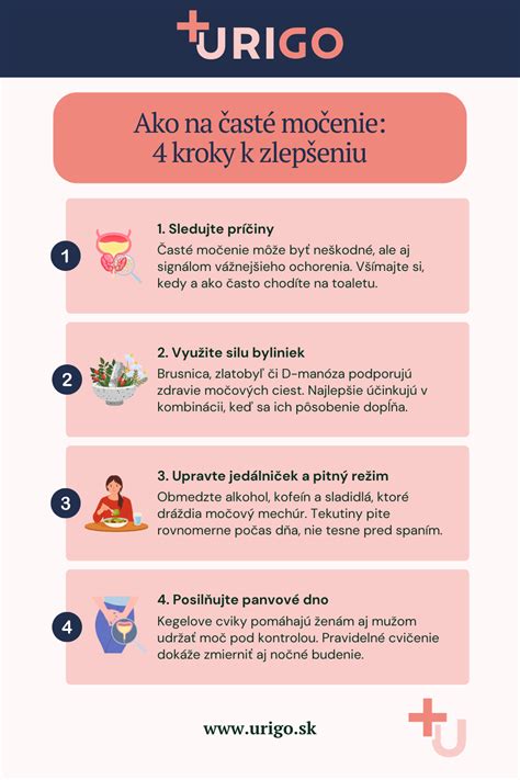 Infografika zobrazujúca kroky prípravy