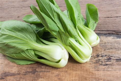 Rastlina Pak Choi (Bok Choy) s tmavozelenými listami a bielymi stopkami