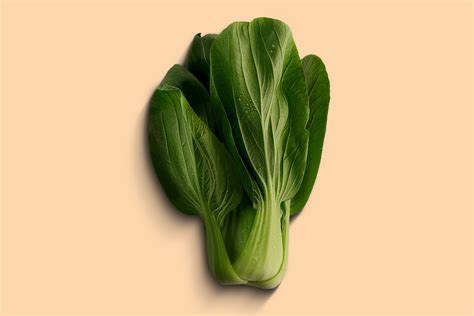 Schéma výsadby semien Pak Choi