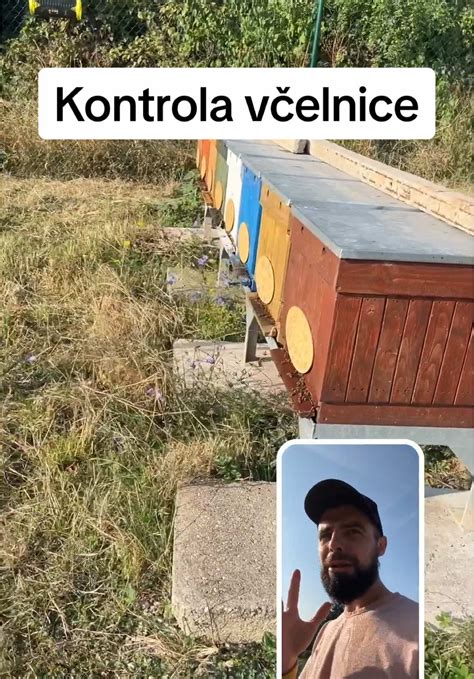 Tabuľka kŕmenia včiel podľa ročných období