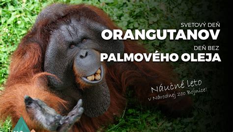 Mapa oblastí s neudržateľnou produkciou palmového oleja