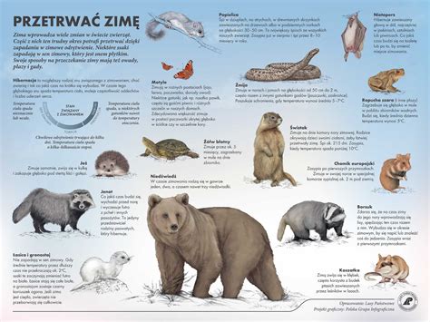 Infografika: Príklady dezinformácií šírených portálom Na palete