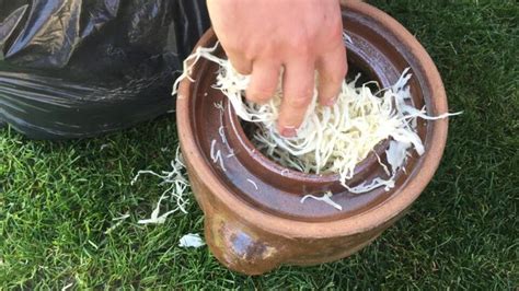 Sušenie makróniek pred pečením pre dokonalú nožičku