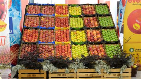 Rôzne odrody jabĺk v obchode