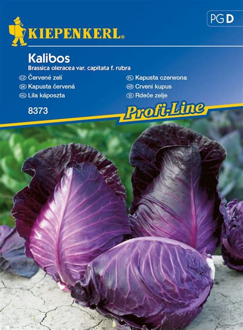 Odroda kapusty Kalibos