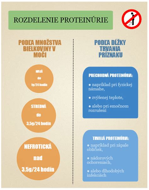 Infografika: Rozdelenie makronutrientov v pudingu