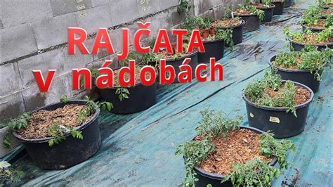 Zorganizované mrazené porcie jedál v nádobách