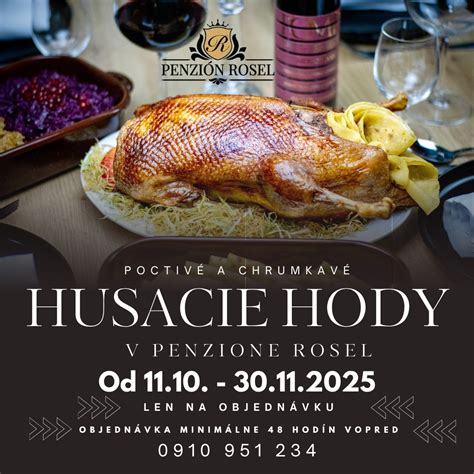 Ilustračná fotografia pečenej husi