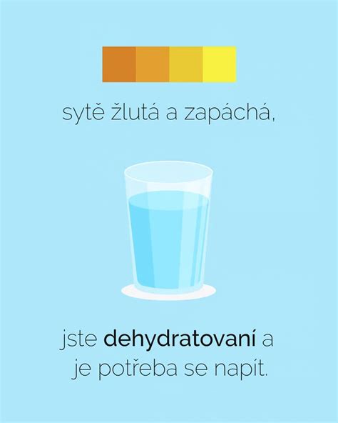 Infografika: Pitný režim pre deti s enurézou