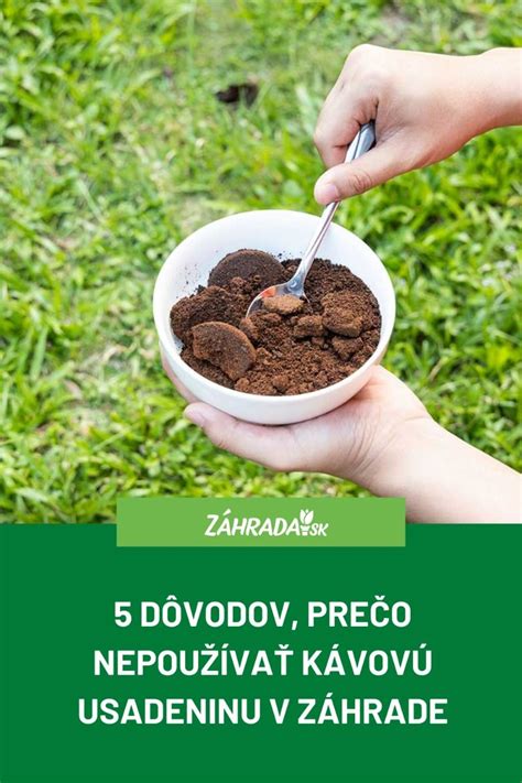 Kávová usadenina ako mulč