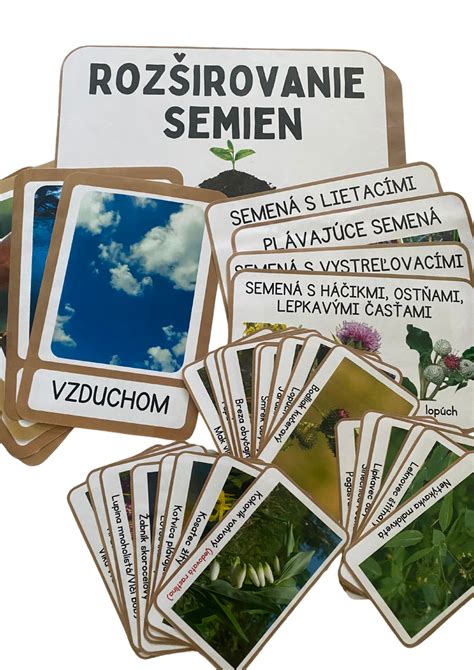 Schéma sadenia tekvicových semien a rastlín v záhrade